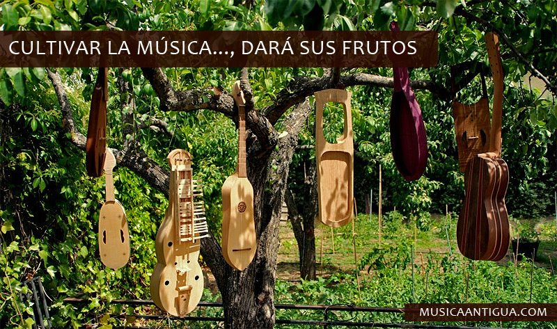 Coltivare Musica darà i suoi frutti