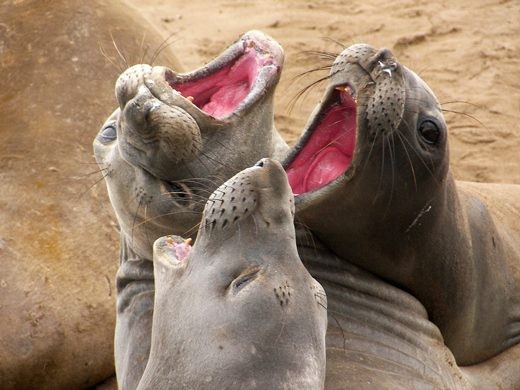 Canta che ti passa… i benefici del cantare in un coro!