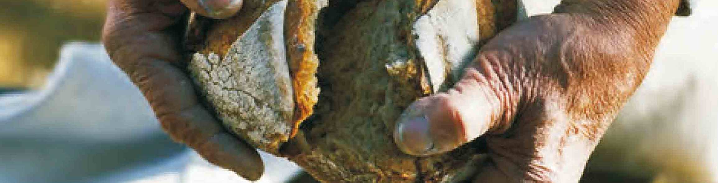 Buona Pasqua! W la Vita! W la Musica