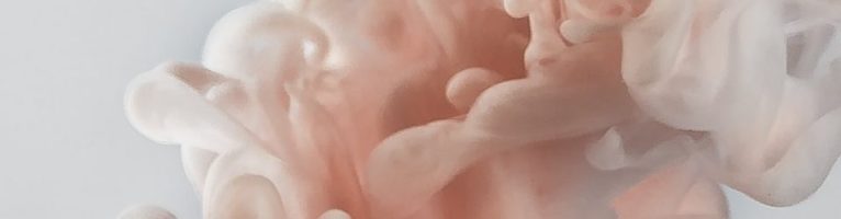 Dal tetto sale il fumo